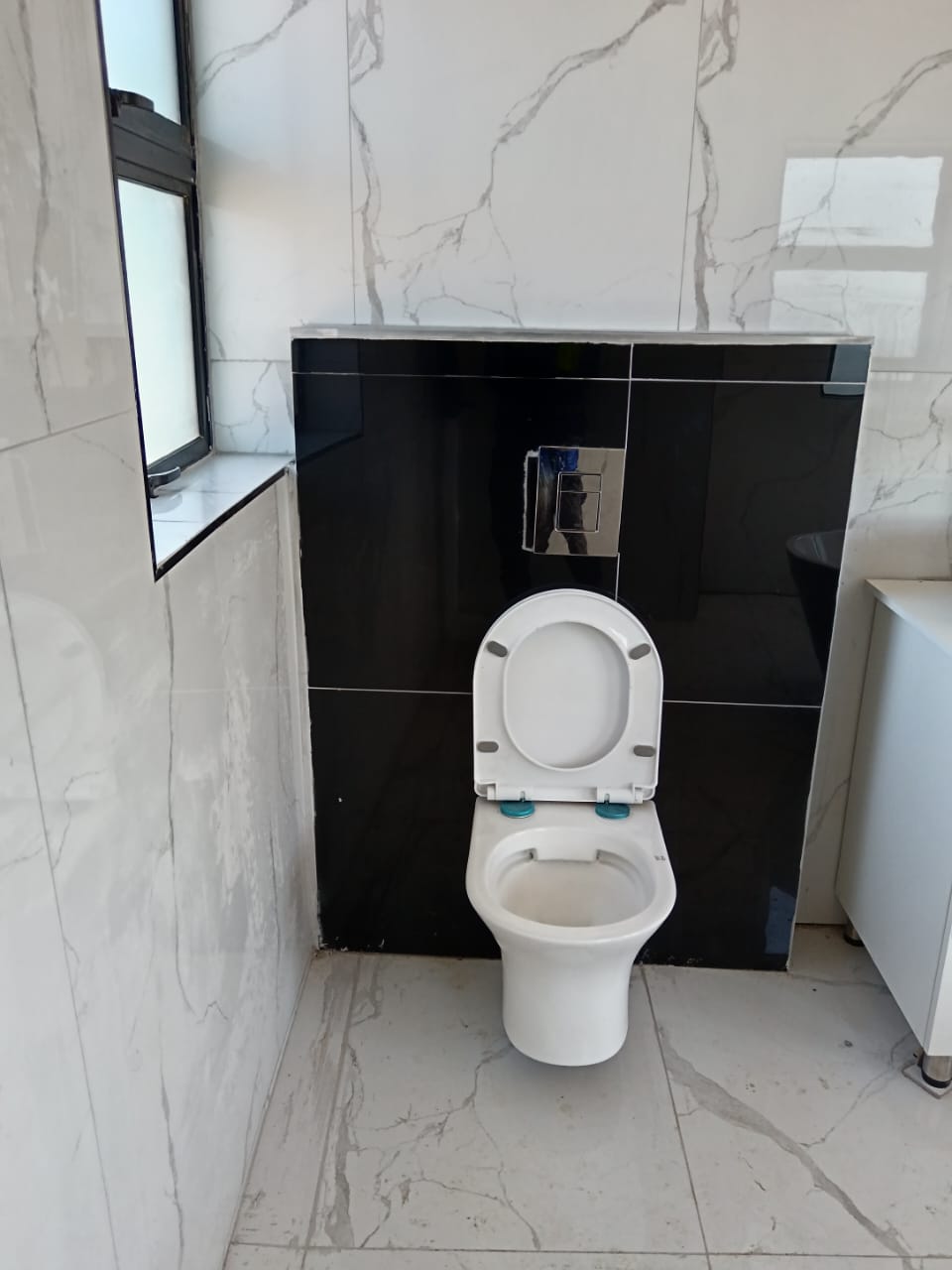 Finished Wall-Hung Toilet Pan Install